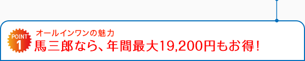 �����륤�����̥��