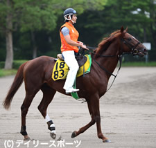 馬三郎タイムズ ニュース 小倉記念 有力馬情報 1 マイネルラクリマ 13年07月30日