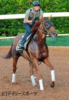 馬三郎タイムズ ニュース アイビスsd 有力馬情報 4 ベルカントなど 15年07月28日